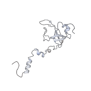 34864_8hkz_S12P_v1-2
Cryo-EM Structures and Translocation Mechanism of Crenarchaeota Ribosome