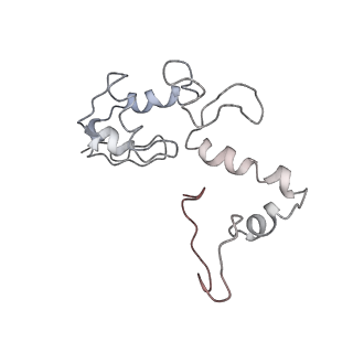 34864_8hkz_S13P_v1-2
Cryo-EM Structures and Translocation Mechanism of Crenarchaeota Ribosome