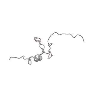 34864_8hkz_S14P_v1-2
Cryo-EM Structures and Translocation Mechanism of Crenarchaeota Ribosome
