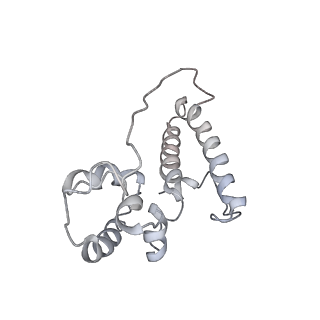 34864_8hkz_S15P_v1-2
Cryo-EM Structures and Translocation Mechanism of Crenarchaeota Ribosome