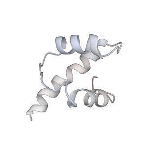 34864_8hkz_S17E_v1-2
Cryo-EM Structures and Translocation Mechanism of Crenarchaeota Ribosome
