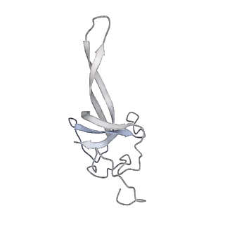 34864_8hkz_S17P_v1-2
Cryo-EM Structures and Translocation Mechanism of Crenarchaeota Ribosome