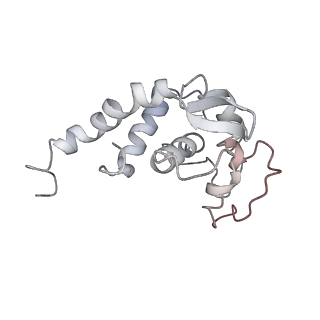 34864_8hkz_S19E_v1-2
Cryo-EM Structures and Translocation Mechanism of Crenarchaeota Ribosome