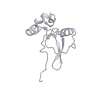 34864_8hkz_S19P_v1-2
Cryo-EM Structures and Translocation Mechanism of Crenarchaeota Ribosome