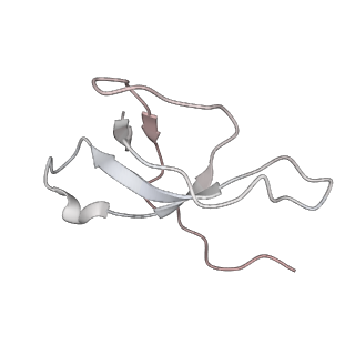 34864_8hkz_S28E_v1-2
Cryo-EM Structures and Translocation Mechanism of Crenarchaeota Ribosome