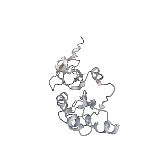 34864_8hkz_S3AE_v1-2
Cryo-EM Structures and Translocation Mechanism of Crenarchaeota Ribosome
