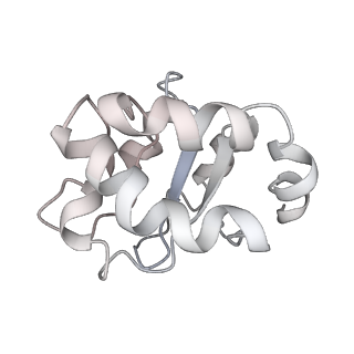 34864_8hkz_SL7A_v1-2
Cryo-EM Structures and Translocation Mechanism of Crenarchaeota Ribosome