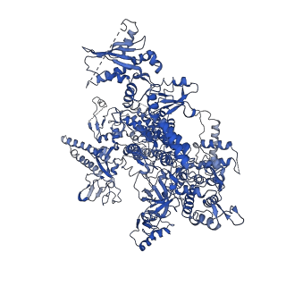 0239_6hlq_A_v1-1
Yeast RNA polymerase I* elongation complex bound to nucleotide analog GMPCPP