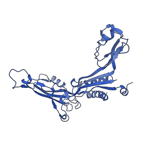 0239_6hlq_C_v1-1
Yeast RNA polymerase I* elongation complex bound to nucleotide analog GMPCPP