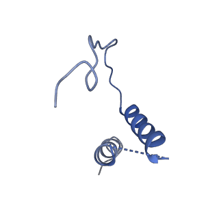 0239_6hlq_D_v1-1
Yeast RNA polymerase I* elongation complex bound to nucleotide analog GMPCPP