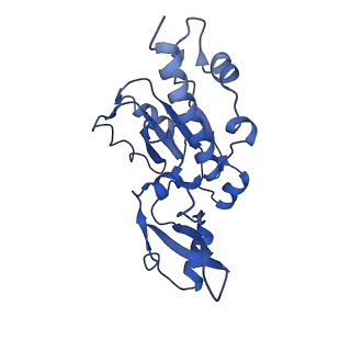 0239_6hlq_E_v1-1
Yeast RNA polymerase I* elongation complex bound to nucleotide analog GMPCPP