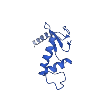 0239_6hlq_F_v1-1
Yeast RNA polymerase I* elongation complex bound to nucleotide analog GMPCPP