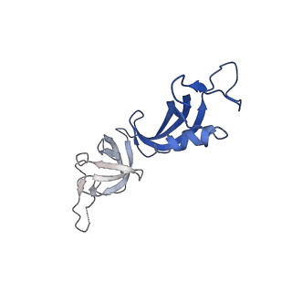 0239_6hlq_G_v1-1
Yeast RNA polymerase I* elongation complex bound to nucleotide analog GMPCPP