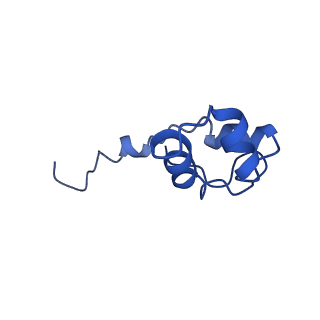 0239_6hlq_J_v1-1
Yeast RNA polymerase I* elongation complex bound to nucleotide analog GMPCPP