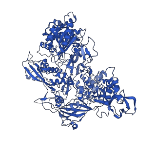 0240_6hlr_B_v1-1
Yeast RNA polymerase I elongation complex bound to nucleotide analog GMPCPP (core focused)