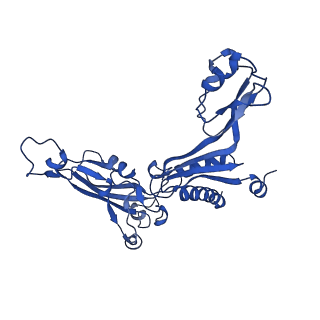 0240_6hlr_C_v1-1
Yeast RNA polymerase I elongation complex bound to nucleotide analog GMPCPP (core focused)