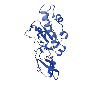 0240_6hlr_E_v1-1
Yeast RNA polymerase I elongation complex bound to nucleotide analog GMPCPP (core focused)