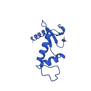 0240_6hlr_F_v1-1
Yeast RNA polymerase I elongation complex bound to nucleotide analog GMPCPP (core focused)