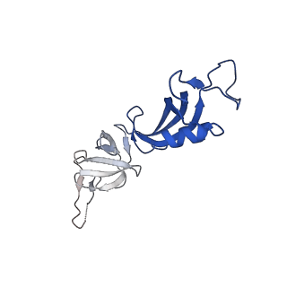 0240_6hlr_G_v1-1
Yeast RNA polymerase I elongation complex bound to nucleotide analog GMPCPP (core focused)