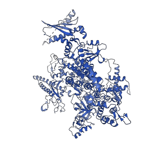 0241_6hls_A_v1-1
Yeast apo RNA polymerase I*