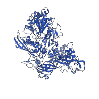 0241_6hls_B_v1-1
Yeast apo RNA polymerase I*