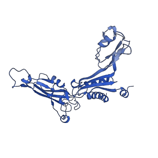 0241_6hls_C_v1-1
Yeast apo RNA polymerase I*