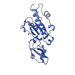 0241_6hls_E_v1-1
Yeast apo RNA polymerase I*