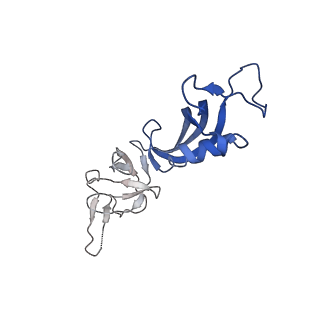 0241_6hls_G_v1-1
Yeast apo RNA polymerase I*