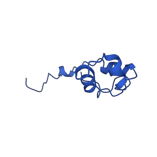 0241_6hls_J_v1-1
Yeast apo RNA polymerase I*