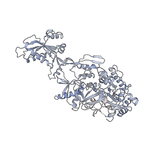 34866_8hl1_AEFG_v1-0
Cryo-EM Structures and Translocation Mechanism of Crenarchaeota Ribosome