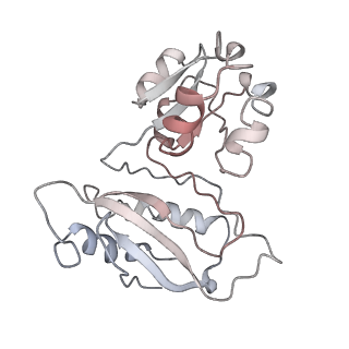 34866_8hl1_AL1P_v1-0
Cryo-EM Structures and Translocation Mechanism of Crenarchaeota Ribosome