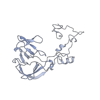 34866_8hl1_AL2P_v1-0
Cryo-EM Structures and Translocation Mechanism of Crenarchaeota Ribosome