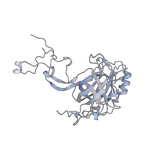 34866_8hl1_AL3P_v1-0
Cryo-EM Structures and Translocation Mechanism of Crenarchaeota Ribosome