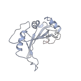 34866_8hl1_AL5P_v1-0
Cryo-EM Structures and Translocation Mechanism of Crenarchaeota Ribosome
