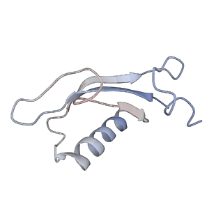 34866_8hl1_ALX0_v1-0
Cryo-EM Structures and Translocation Mechanism of Crenarchaeota Ribosome