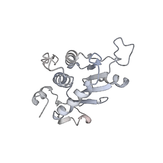 34866_8hl1_AS2P_v1-0
Cryo-EM Structures and Translocation Mechanism of Crenarchaeota Ribosome