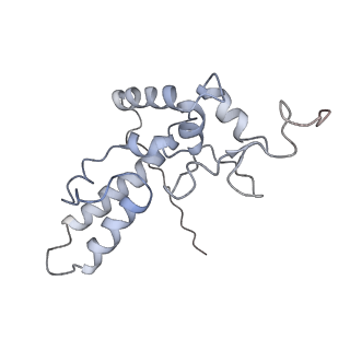 34866_8hl1_AS4P_v1-0
Cryo-EM Structures and Translocation Mechanism of Crenarchaeota Ribosome