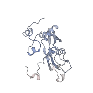 34866_8hl1_AS5P_v1-0
Cryo-EM Structures and Translocation Mechanism of Crenarchaeota Ribosome