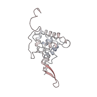 34866_8hl1_AS7P_v1-0
Cryo-EM Structures and Translocation Mechanism of Crenarchaeota Ribosome
