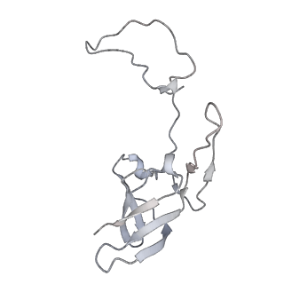 34866_8hl1_AS8E_v1-0
Cryo-EM Structures and Translocation Mechanism of Crenarchaeota Ribosome
