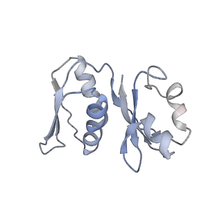34866_8hl1_AS8P_v1-0
Cryo-EM Structures and Translocation Mechanism of Crenarchaeota Ribosome