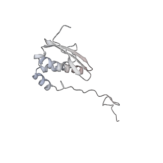 34866_8hl1_AS9P_v1-0
Cryo-EM Structures and Translocation Mechanism of Crenarchaeota Ribosome