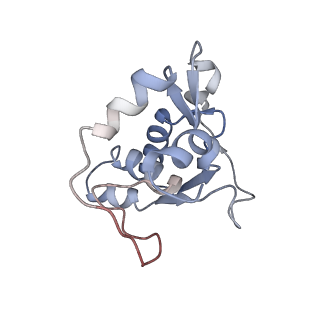 34866_8hl1_L13P_v1-0
Cryo-EM Structures and Translocation Mechanism of Crenarchaeota Ribosome