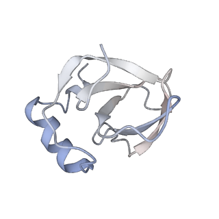 34866_8hl1_L141_v1-0
Cryo-EM Structures and Translocation Mechanism of Crenarchaeota Ribosome