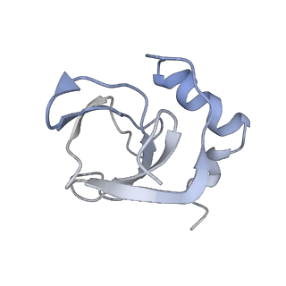 34866_8hl1_L142_v1-0
Cryo-EM Structures and Translocation Mechanism of Crenarchaeota Ribosome