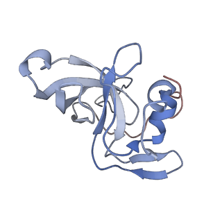 34866_8hl1_L14P_v1-0
Cryo-EM Structures and Translocation Mechanism of Crenarchaeota Ribosome
