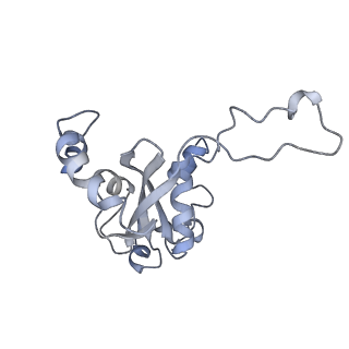 34866_8hl1_L15E_v1-0
Cryo-EM Structures and Translocation Mechanism of Crenarchaeota Ribosome