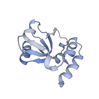 34866_8hl1_L18E_v1-0
Cryo-EM Structures and Translocation Mechanism of Crenarchaeota Ribosome