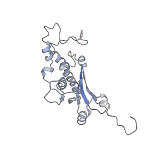 34866_8hl1_L18P_v1-0
Cryo-EM Structures and Translocation Mechanism of Crenarchaeota Ribosome