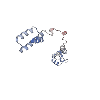 34866_8hl1_L19E_v1-0
Cryo-EM Structures and Translocation Mechanism of Crenarchaeota Ribosome